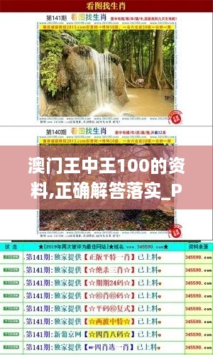 澳门王中王100的资料,正确解答落实_Pixel1.867