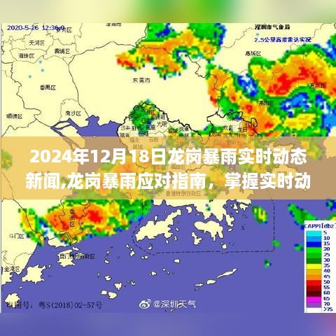 2024年12月18日龙岗暴雨实时动态新闻与应对指南，保障安全，掌握实时动态与应对技能