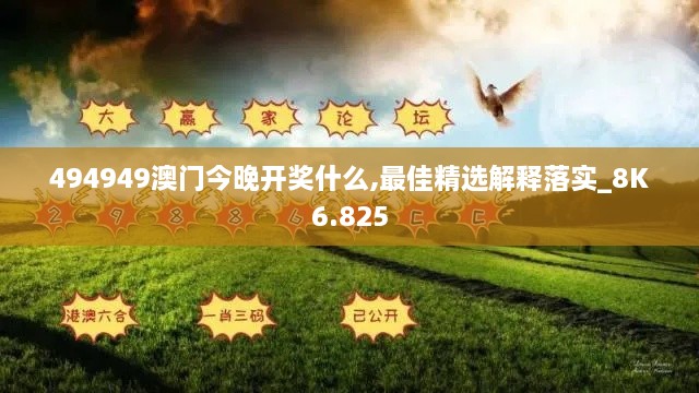 494949澳门今晚开奖什么,最佳精选解释落实_8K6.825