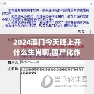 2024澳门今天晚上开什么生肖啊,国产化作答解释落实_Notebook1.568