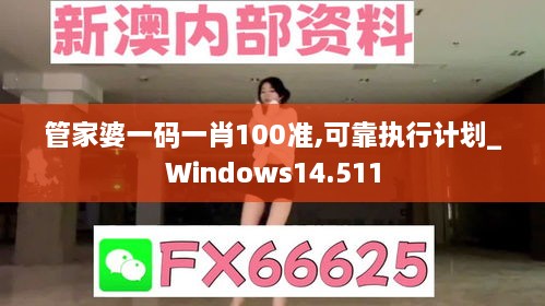 管家婆一码一肖100准,可靠执行计划_Windows14.511