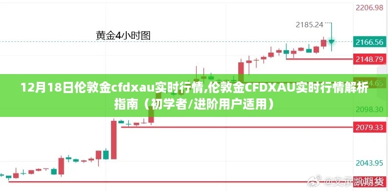 伦敦金CFDXAU实时行情解析指南，从入门到进阶（初学者适用）