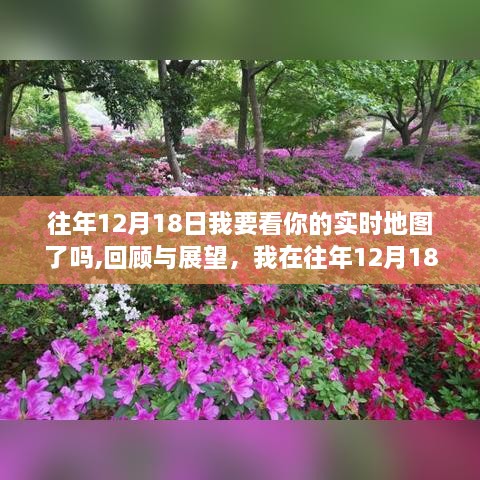 回顾与展望，我在往年12月18日的实时地图历程探索与反思