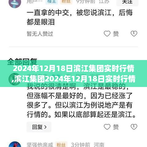 滨江集团实时行情解析，初学者与进阶用户指南（2024年12月18日）