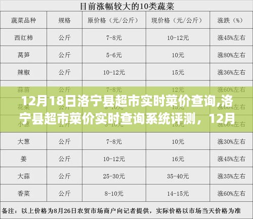 洛宁县超市菜价实时查询系统深度体验与评测报告，12月18日最新分析解读