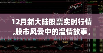 股市风云中的温情故事，揭秘12月新大陆股票实时行情之旅