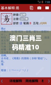 澳门三肖三码精准100%新华字典,具体操作步骤指导_RX版10.306