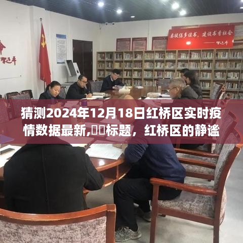 红桥区疫情数据最新更新，静谧时光下的疫情观察与探索之旅