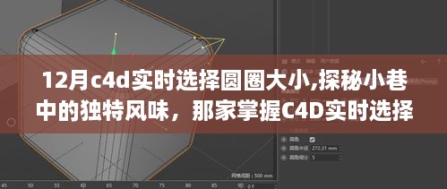 探秘小巷独特风味，掌握C4D实时选择圆圈大小奥秘的特色小店