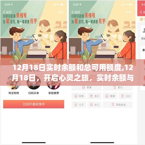 12月18日余额与额度概览，开启心灵之旅，实时掌握财富与无限风光