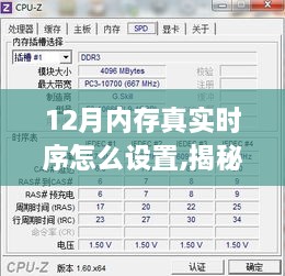 2024年12月20日 第6页