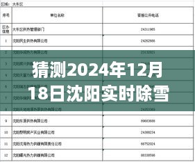 沈阳除雪行动纪实，冬季除雪进度公示与影响展望，2024年冬季纪实报道