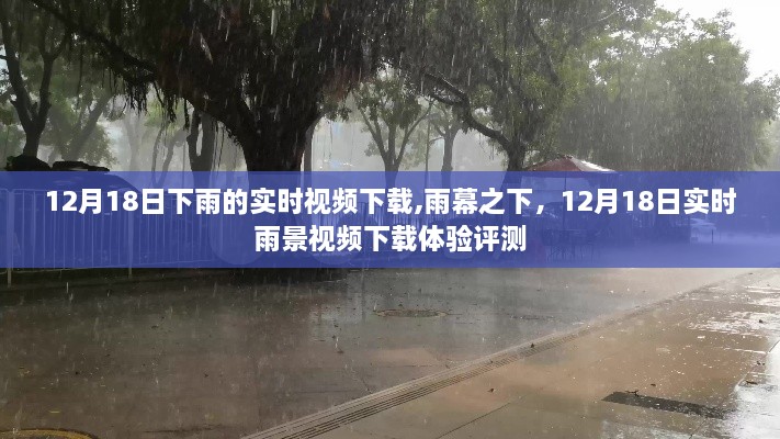 雨幕之下，12月18日实时雨景视频下载体验评测与实时视频下载分享