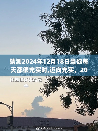 迈向充实，全面成长规划至2024年12月18日，充实每一天的挑战与机遇探索之旅