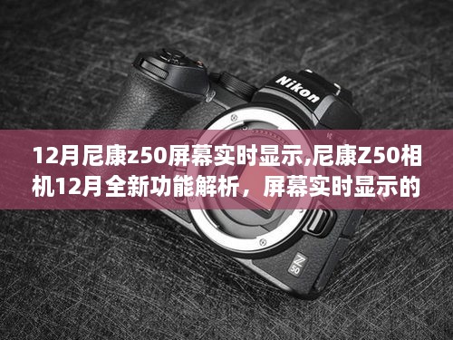 尼康Z50相机屏幕实时显示功能解析，体验全新魅力，十二月新功能深度探讨