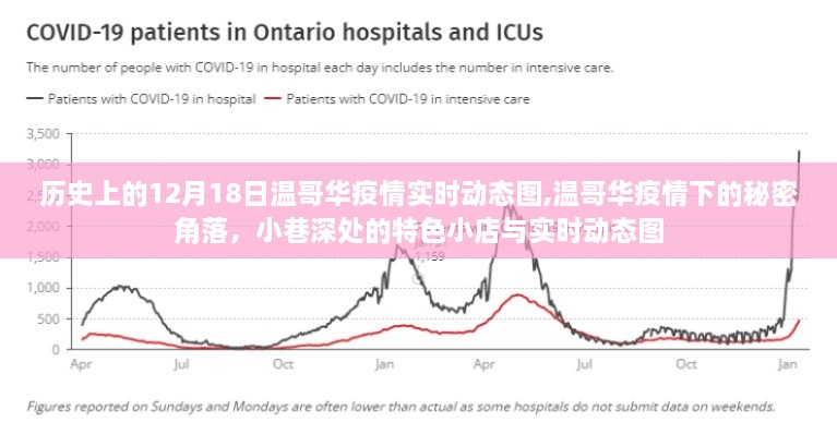 温哥华疫情下的秘密角落，历史视角下的实时动态与特色小店探访