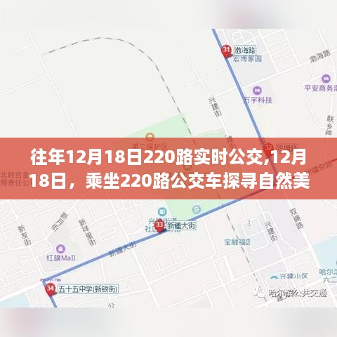 探寻自然美景的宁静之旅，12月18日乘坐220路公交车实时记录