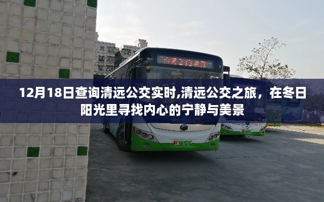 清远公交之旅，冬日阳光下的宁静美景与实时查询体验