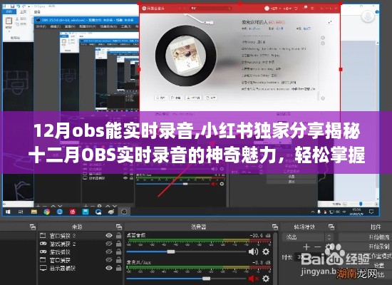 十二月OBS实时录音技巧独家分享，小红书上的录音魅力揭秘