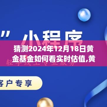 黄金基金的未来发展预测，2024年12月18日实时估值与神秘之旅