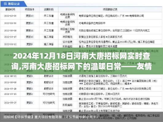 河南大唐招标网下的温暖日常，友情、陪伴与招标的交织故事（实时查询）