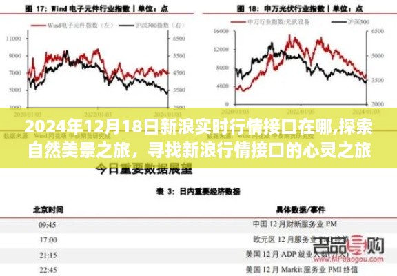 新浪行情接口探索与心灵之旅，自然美景的寻觅之旅