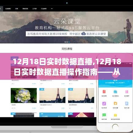 12月18日实时数据直播操作指南，从入门到精通