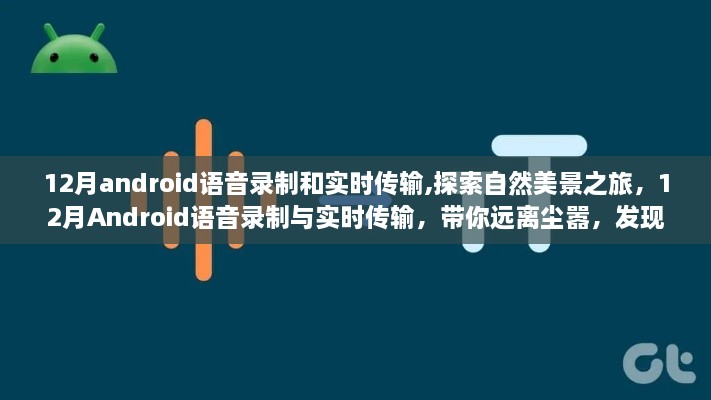 12月Android语音录制与实时传输，自然美景之旅，探寻内心的宁静平和之路