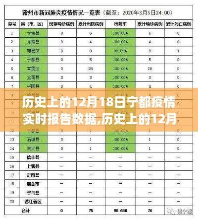 历史上的12月18日宁都疫情实时报告数据深度解析与全面评测