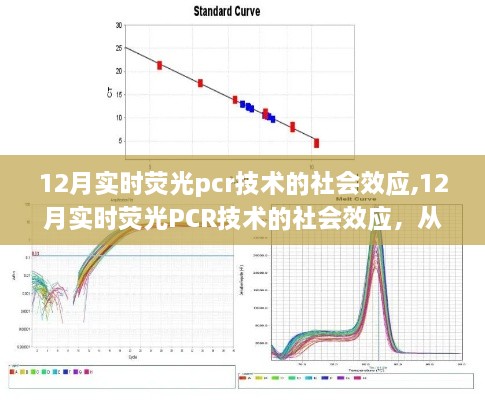 12月实时荧光PCR技术的社会影响与从零开始学习PCR技能的全步骤指南