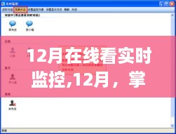 2024年12月22日 第10页