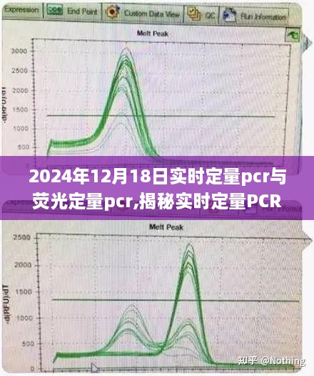 揭秘实时定量PCR与荧光定量PCR技术前沿及未来展望（最新2024年12月版）