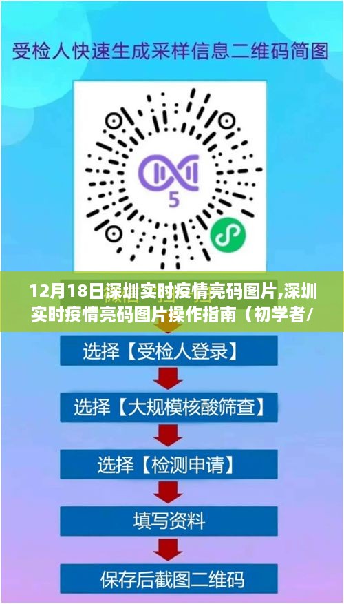 深圳实时疫情亮码图片操作指南，初学者与进阶用户适用（12月18日更新）