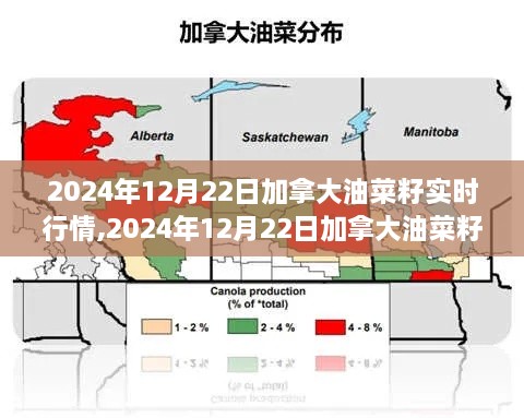 2024年12月22日加拿大油菜籽实时行情解析与交易策略指南