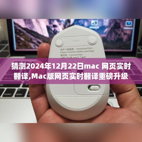 Mac版网页实时翻译重磅升级，预见未来的翻译体验，引领全球科技新潮流，2024年12月22日新功能解析