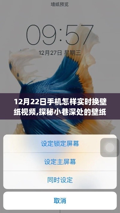 独家指南，探秘壁纸魔法屋，揭秘手机实时换壁纸视频秘籍！