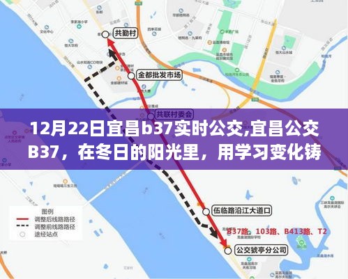 冬阳下的宜昌公交B37，自信与成就感的旅程启程