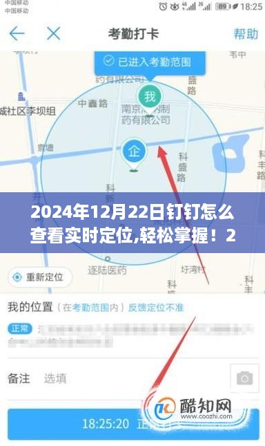 2024年钉钉实时定位查看步骤指南，轻松掌握定位查看技巧