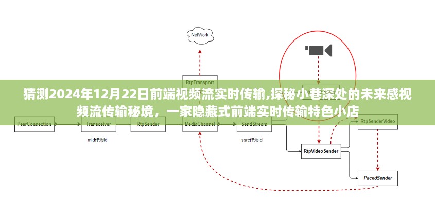 探秘未来感前端实时视频流传输，小巷深处的隐藏式特色小店，预测2024年技术揭秘！