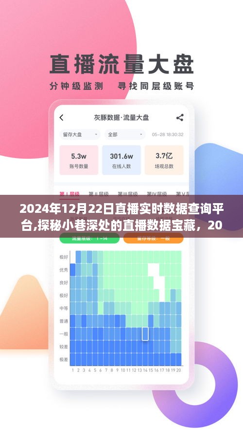 探秘直播数据宝藏，揭秘小巷深处的直播实时数据查询平台独家内幕（日期，XXXX年XX月XX日）