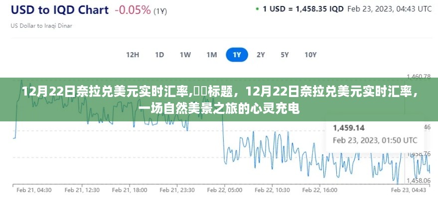 12月22日奈拉兑美元实时汇率，自然美景之旅的心灵充电日。