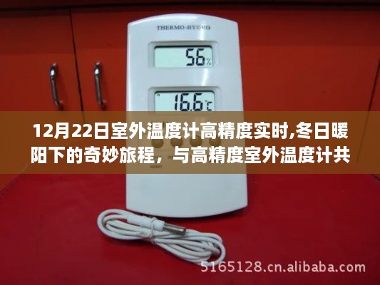 冬日暖阳下的精准测温，与自然美景共舞的高精度室外温度计奇妙之旅