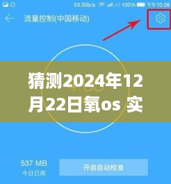 氧OS实时网速展望，励志故事与未来的把握，2024年12月22日预测分析