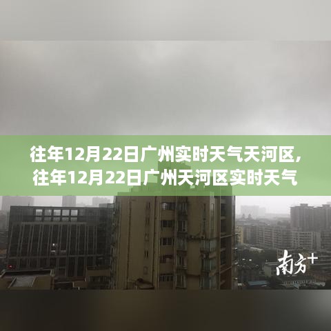 肝胆相照