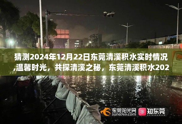 共探清溪之秘，东莞清溪积水2024年12月22日实时情况与奇遇记