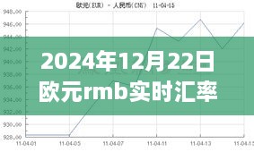 揭秘未来走势，2024年12月22日欧元对人民币实时汇率深度解析及预测