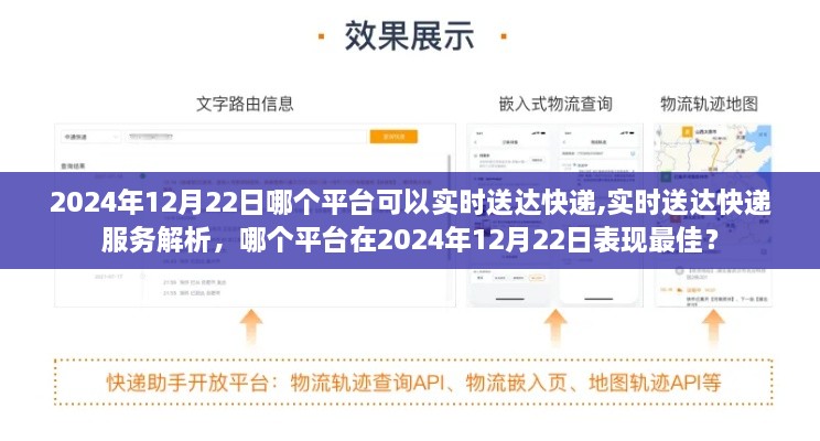 2024年12月22日实时送达快递服务解析，哪个平台表现最佳？