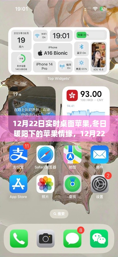 冬日暖阳下的苹果情缘，12月22日桌面苹果的温馨时刻