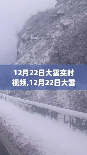 12月22日大雪实时视频观看指南，轻松掌握观看技巧