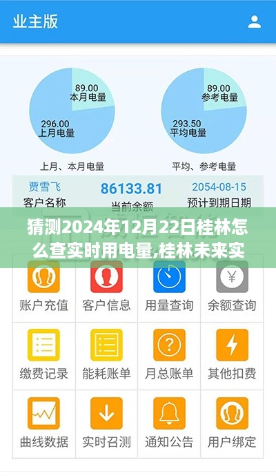 桂林未来实时用电量查询预测，2024年12月22日的动向与观点分析